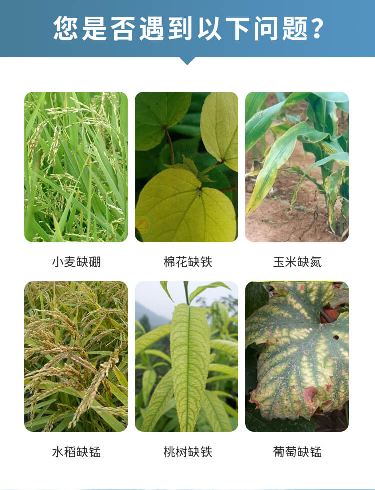 土壤微量元素測(cè)試儀
