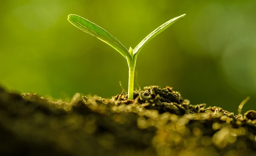 為避免誤導用戶，便攜式土壤水分速測儀使用需注意