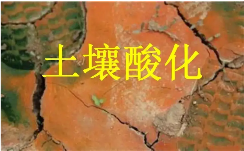 識別土壤“病”，土壤測試儀器是如何提高土壤免疫力的？