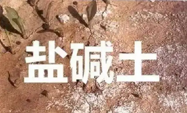 作物為什么生長不健康，用土壤EC計測測便知