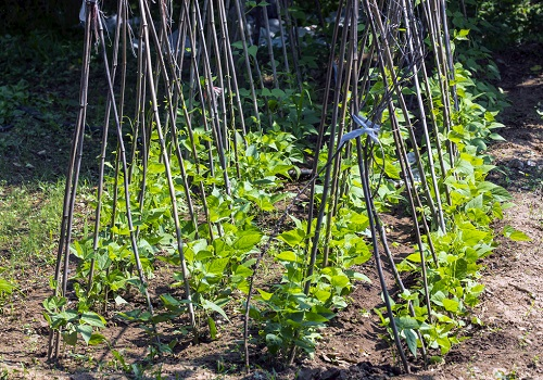 觀測(cè)土壤溫濕變化，首推土壤墑情測(cè)量儀