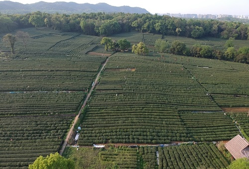 肥料不是越多越，利用測土儀提高化肥利用率