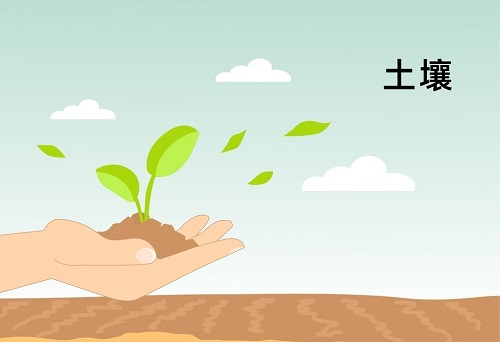 土壤墑情監(jiān)測系統(tǒng)在精細(xì)農(nóng)業(yè)發(fā)展中扮演著什么角色？