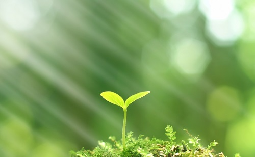 推廣測(cè)土配方施肥技術(shù)的有哪些好處？