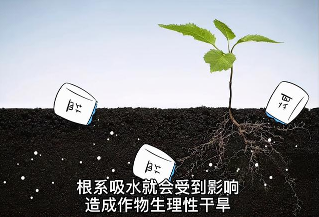 土壤EC值和pH值與作物生長(zhǎng)的關(guān)系，利用土壤鹽分儀緩解土壤鹽漬化