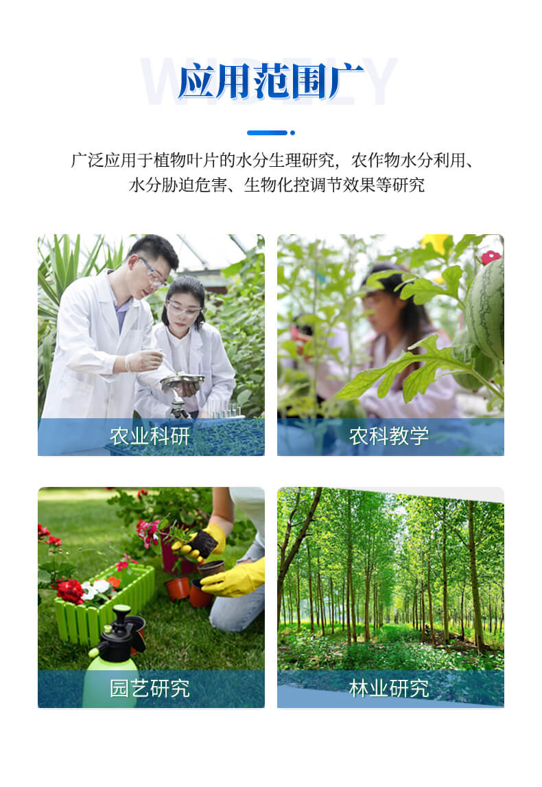 植物氣孔計(jì)